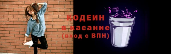 твердый Корсаков